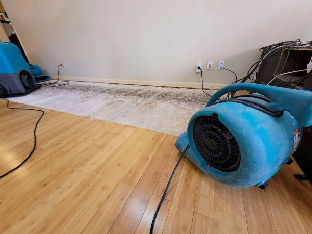 Professional Structural Drying technician working in Cotulla, TX